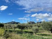 Propriété avec piscine