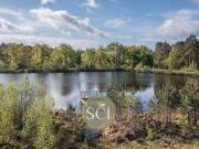 Propriété avec piscine