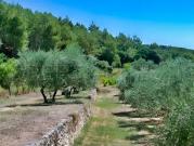 Propriété avec piscine et jardin