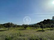 Propriété avec piscine