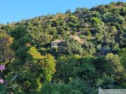 Propriété avec piscine et jardin Propriété avec piscine et jardin
