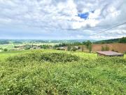 Propriété avec vue panoramique sur les Pyrénées