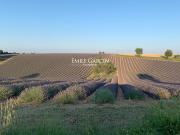 A vendre Propriété de 10 hectares Haute Provence 1300m²...