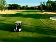 Propriété de 198 m2 habitables dépendance local...