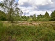 Propriété de Chasse et d'Agrément de 80 hectares en...
