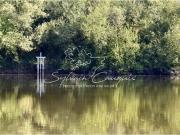 Propriété de Pêche ou d'Agrément de 5 hectares en...