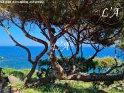 Propriété de Rêve Pieds dans l'Eau à Porto Vecchio