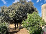 Propriété en bord de mer avec jardin