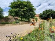 Propriété en pierre avec gîte, grange et piscine 130m²...