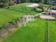 Propriété équestre d'exception 4 hectares