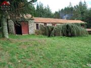 Propriete Forestiere Cassagnoles 125m² Cassagnoles