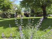 Propriété, Maison à vendre proche Orléans, 380 m²...