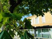 Maison à vendre à Saint Émilion 33330