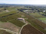 Propriété viticole avec cave de vinification Propriété viticole avec cave de vinification