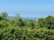 PROPRIETE VUE MER A 5 MINUTES DE DEAUVILLE 1 hectare de...