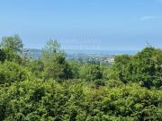 PROPRIÉTÉ VUE MER 5 MINUTES DE TROUVILLE SUR MER 1...