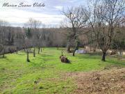 Provins Vente Terrain 77
