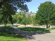 Provisionfrei 4 5 Z Wohnung zu verkaufen 4,8...