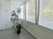 !Provisionsfrei! 3 Zimmer mit Loggia und Auto Stellplatz