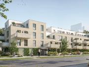 PROVISIONSFREI | Grüner Horizont wo das Leben aufblüht