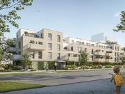 PROVISIONSFREI | Grüner Horizont wo das Leben aufblüht