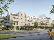 PROVISIONSFREI | Grüner Horizont wo das Leben aufblüht