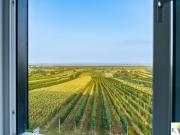 NEUER PREIS! Hochwertige Erstbezugswohnungen mit...