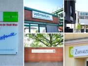 Provisionsfrei! Raumwunder! So ruhig, so grün, so gut...