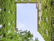 Provisionsfreie 4 Zimmer Wohnung beim Schloss Belvedere