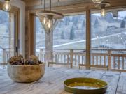 Proximité village et piste de ski