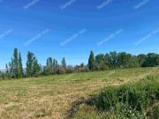 Proyecto de Parcelación San José Proyecto de Parcelación San José