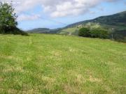 Proyecto de vida en Asturias: tres fincas edificables...