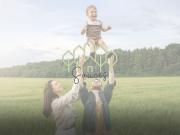 PROYECTO SAUCES UBICADO EN EL SECTOR DE LAS MARGARITAS