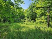 Pt Lt 26 Concession 6 W, Hamilton, ON, N1R 5S2 vacant...