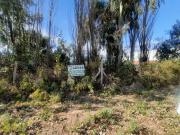 Publica nº 3 casi santa rita