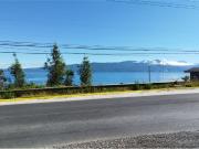PUCON arrienda terreno comercial camino Villarica