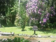 Pucón/ Casa Arriendo Temporada