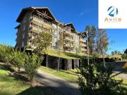 Pucon Depto 1d 1b Condominio Los Castaños Alicura Cod.dp0201
