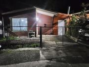 Pucón, Los helechos