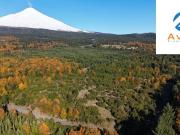 Pucón Parcela de 5.000m2 en Condominio La Reserva...