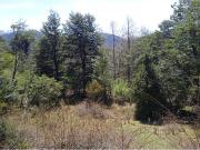 Pucón Parcela en Venta en sector Huife