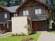 Pucón, parque pinares