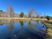 Pucon se vende parcelas de lujo en candelaria