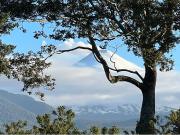 Pucón Terreno con potencial inmobiliario Pucón Terreno con potencial inmobiliario