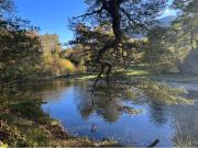 PUCON Vende Parcela con orilla rio Huife