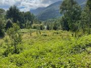 PUCÓN. VENTA PARCELA DE 5000 M2. A 15KM DEL CENTRO. TRUFULCO