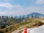 Puerta de Maple en Bosque Esmeralda