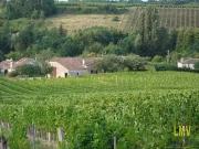 Pujols 33350 Achat / Vente maison 2 pièces t2