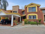 pulgas pandas norte renta