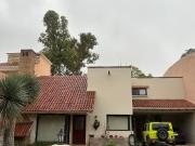 PULGAS PANDAS RENTA AMUEBLADA